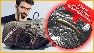 ¿Realmente se han encontrado FÓSILES en una roca de MARTE? | El meteorito ALH 84001