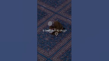 #قرآن #تلاوة_خاشعة #فارس_عباد #لايك #اكسبلور