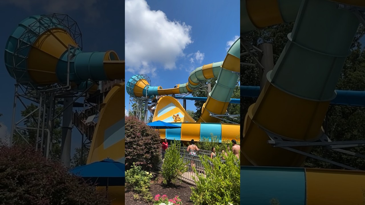 Colossal Curl at Water Country USA💦💧 waterpark splash ride shorts 