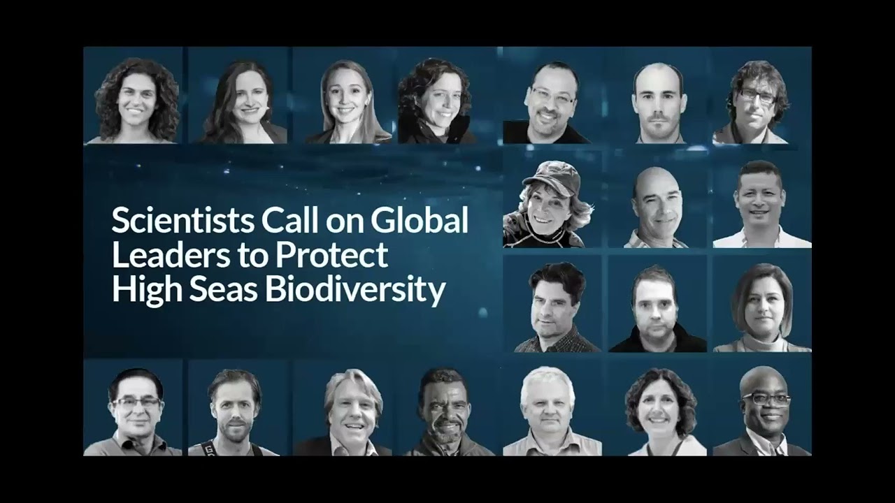 COBRA Webinar Series – What the UN’s High Seas Treaty Means for Deep-Sea Science