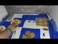 PISCIS***ALGUIEN LLORA POR TI, NO SABE CÓMO EXPRESARLO***