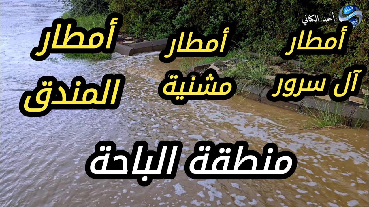 أمطار آل سرور - مشنية - المندق - منطقة الباحة - عصر اليوم الأربعاء 4-3-1447 #السعودية #امطار 