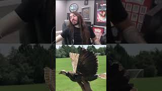 Birds Arent Real? #shorts #moistcr1tikal #penguinz0