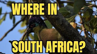 Things to do in South Africa - Episode 1 Nelspruit nuture reserve