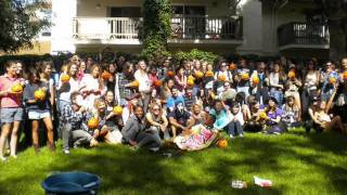 Deniz Jale Özer (Best Memories)