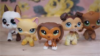 LPS: If LPS Popular Characters Had Theme Songs