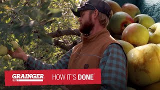 Apple Cider | Grainger: How It