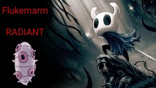 Hollow Knight - Flukemarm - Radiant