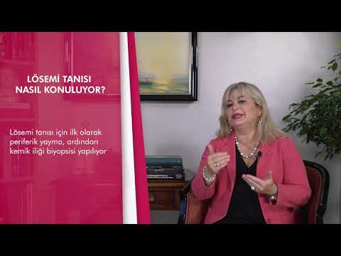 losemi kan kanseri nedir losemi belirtileri nelerdir doc dr sebnem izmir guner youtube losemi kan kanseri nedir losemi belirtileri nelerdir doc dr sebnem izmir guner youtube