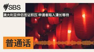 澳大利亚伴侣签证积压 申请者陷入漫长等待 | SBS Mandarin - SBS 普通话电台