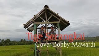 Miniatura de vídeo de "Tige Serangkai - Lagu Daerah SumSelCover by Bobby Mawardi"