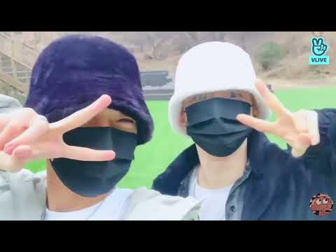 [Ciipher]シンギパンギプンプンパンギ美味しそう。