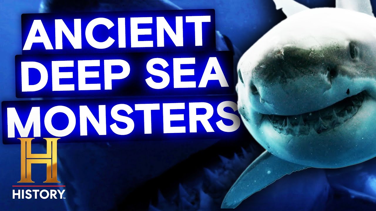 Documentary backdrop image for Massive Shark Could Be a Living Megalodon (Season 7) (2025)