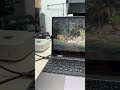 Mac mini M4丐版跑黑神話悟空的表現