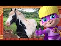 Animal Sounds and Professions