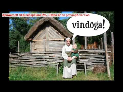 Video: I De Forntida Runorna Nämndes Inte Vikingarnas Mod - Alternativ Vy