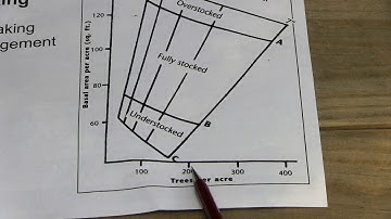 using a stocking guide
