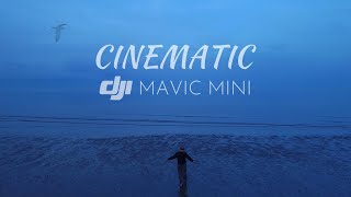 DJI Mavic Mini | My Best Cinematic Drone Footage 4k