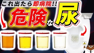 色・臭い・泡立ち・回数..絶対に見逃してはいけない「おしっこ」からのSOS。知らないと後悔する超意外なサインとは医師が徹底解説