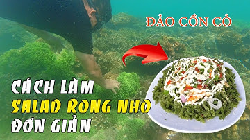 Lặn biển hái rong Nho ở đảo Cồn Cỏ - cách làm salad rong nho đơn giản - Hồ Anh Food Travel