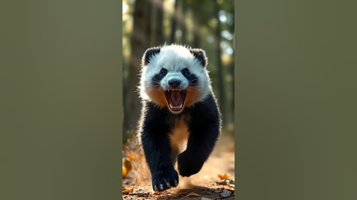 Panda Saves Puppy from a Thief | Emotional Animal Story #PandaRescue  #CutePuppy  #Heartwarming