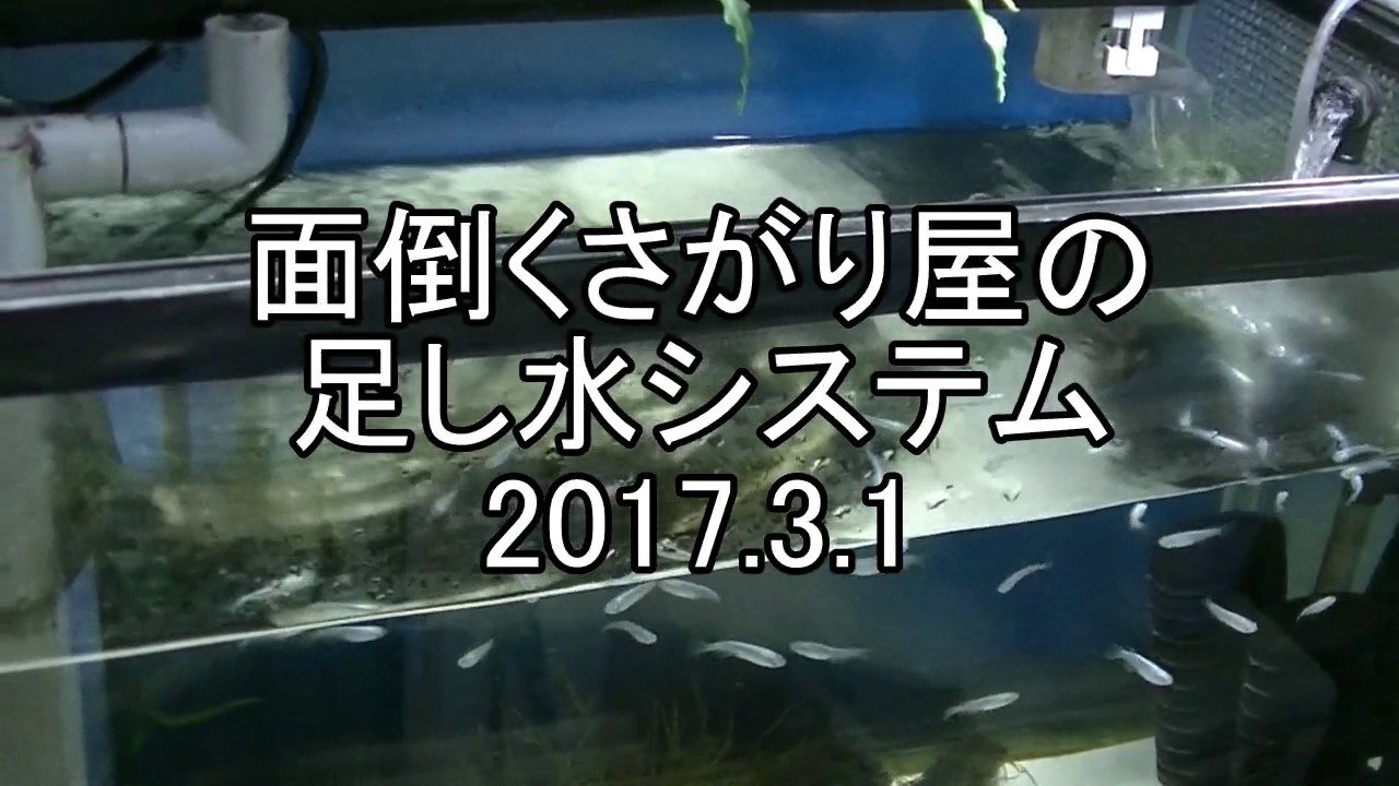 面倒くさがり屋の足し水システム Youtube