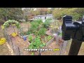 Embracing Change in the Garden