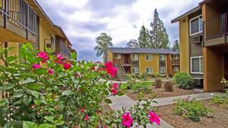 Bella Park Apartments In Rialto, Ca - Forrent
