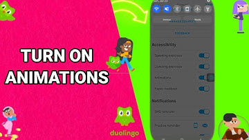 How To Turn On Animations On Duolingo Language Lessons App