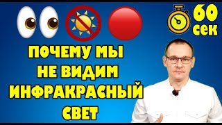 ПОЧЕМУ МЫ НЕ ВИДИМ ИНФРАКРАСНЫЙ СВЕТ? Тело человека за 60 секунд.