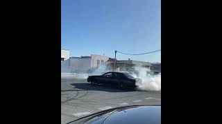 R34 Skyline Four Door Burnout