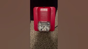 System Sensor Spectralert P1224MC Horn Strobe