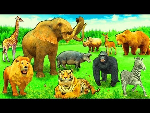 Playmobil Animal Zoo Building Playset - Animal Zoo Building Part 1