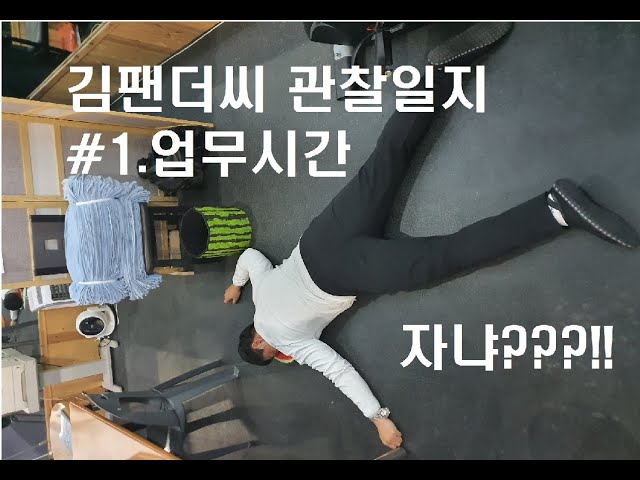 김팬더 관찰일지랜다 ㅋㅋㅋㅋㅋ