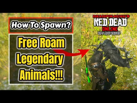 How to Spawn Legendary Animals in Free Roam | deadPik4chU's Red Dead Online Tips and Tricks