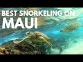Black Rock Maui Snorkeling Tips | Kaanapali Beach for a Day of Great Snorkeling (turtles included)