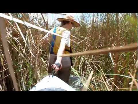 Vídeo: Kayak En El Lago Más Grande Del Mundo - Matador Network