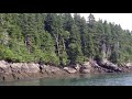 Whale Watching at Campobello Island Canada - Lost old files