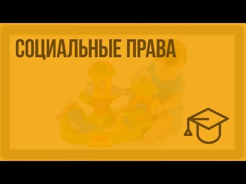 Социальные права. Видеоурок по обществознанию 9 класс