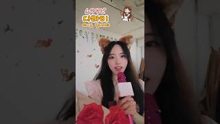 날다람쥐의 만찬가 #메이드카페 #메이드 #만찬가 #shorts