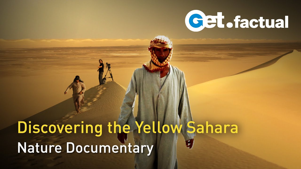 The Colors of the Desert - The Yellow Sahara Nature Documentary