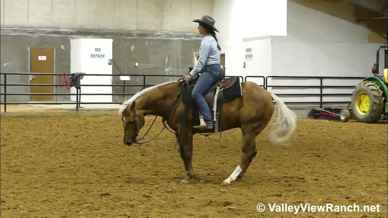 Ken and Checks sorting! YouTube