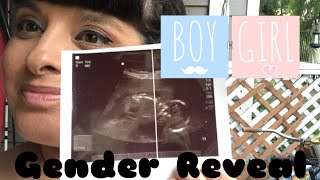 Gender Reveal | Baby Bump Update | 20 weeks pregnant