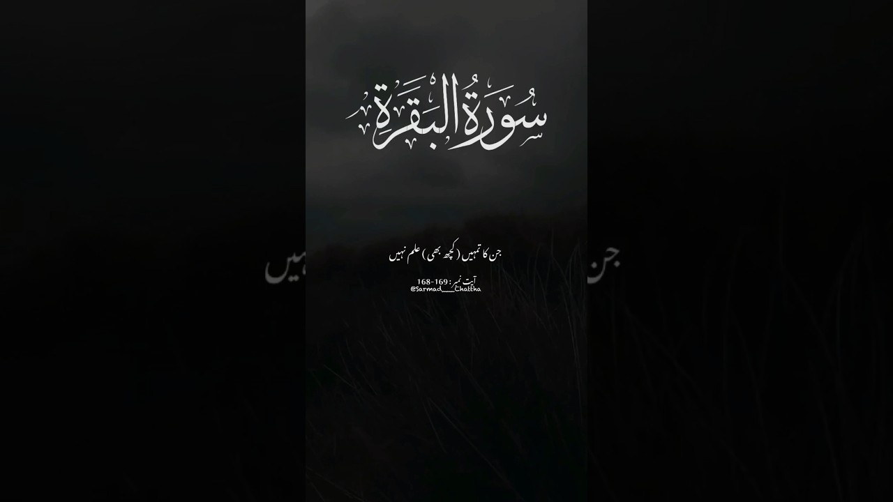 vera john casino online سورة البقرة❤️ Ayat:168-169 Best Islamic Status Video YouTube Quran Translation Urdu Sarmad___Chattha