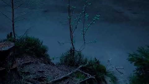 تلاوه هادئه تريح القلب بصوت الشيخ أحمد النفيس⛈☔️#احمد_النفيس