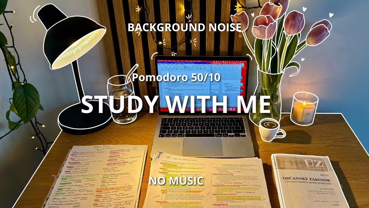 2 HOUR STUDY WITH ME, POMODORO 50/10, NO MUSIC, BACKGROUND NOISE - FIRE ...