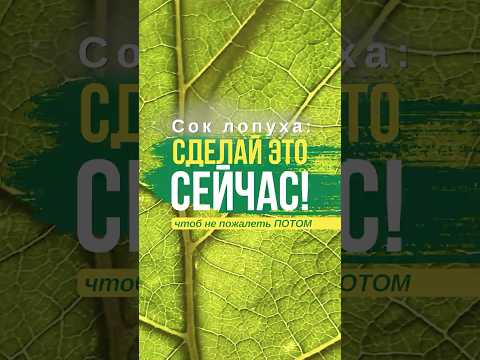 Готовим сок лопуха для здоровья, молодости и долголетия!
