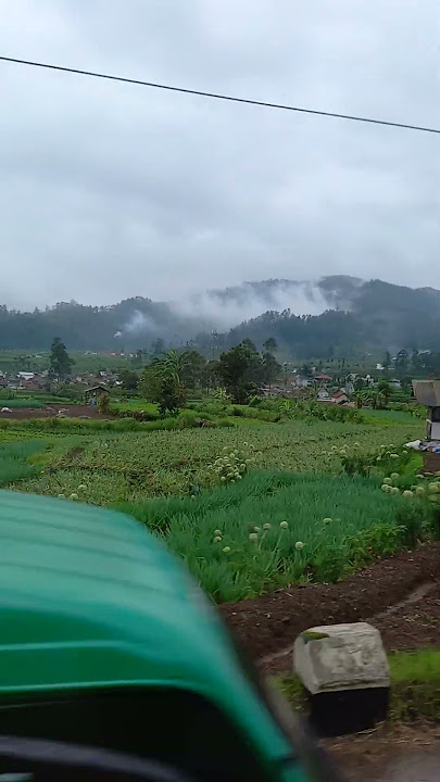 indah #keindahanalam#pecintaalam #alamindonesia #pohon #jawa #gunung #pesonaalam #hutan #pemandangan