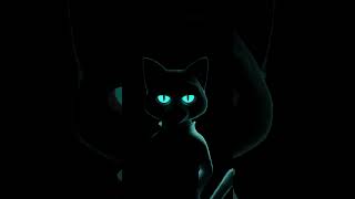 Cat? #animation