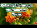 Beautiful instrumental music  relaxing melodys music